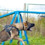 PRIDE puppy beenbeschermer zacht jute N1