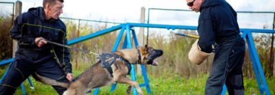 PRIDE puppy beenbeschermer zacht jute N1