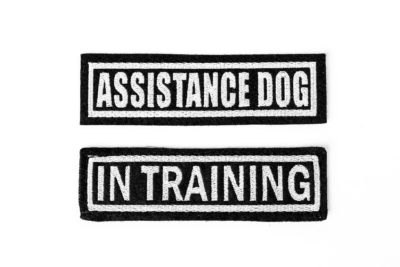 PRIDE Patch 11,5 x 3,5 cm