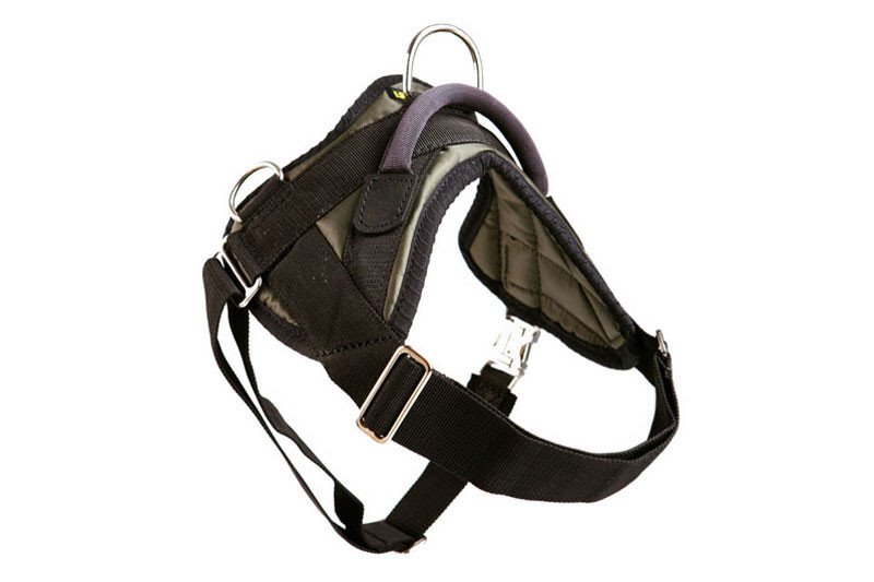 standard PRIDE Tactisch surveillance harnas Standaard