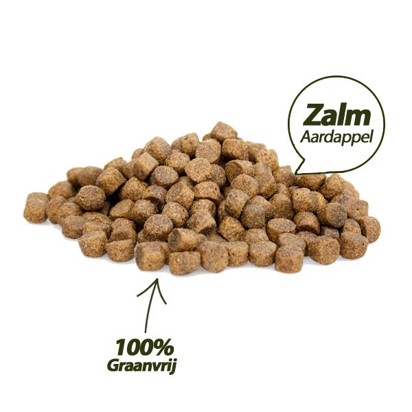 Graanvrij Super Premium Excellent Salmon & Potatoes