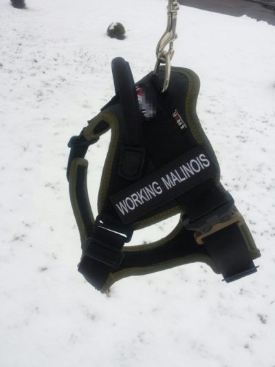 PRIDE Prof werkharnas VERO-plus-COBRAsluiting