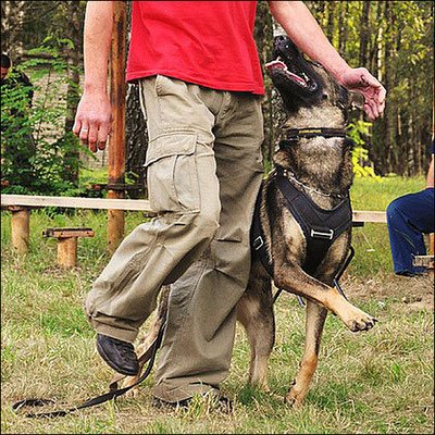 vero4 PRIDE Professioneel werkharnas VERO