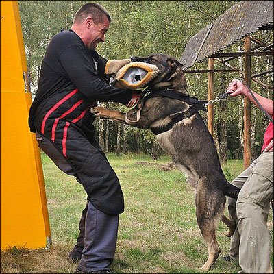 vero6 PRIDE Professioneel werkharnas VERO