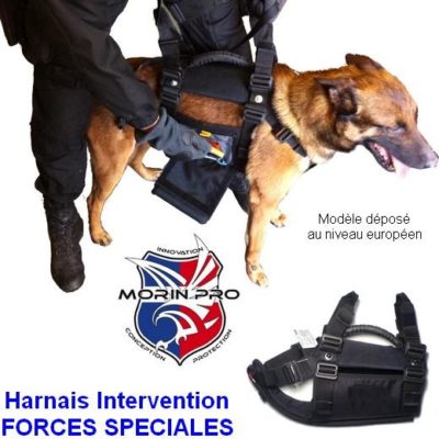MORIN "Special Forces" interventieharnas
