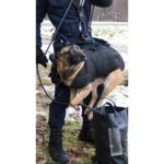 verybig-326-6 MORIN Pro helikopter harnas