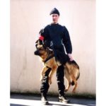 MORIN Interventieharnas, dragen, voor honden