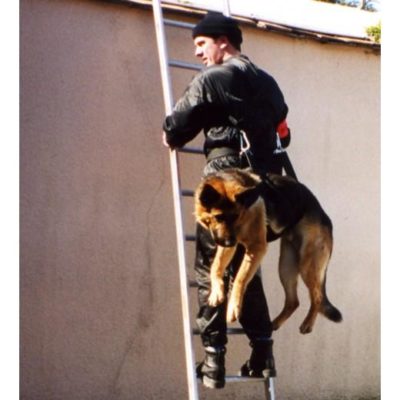 MORIN Interventieharnas, dragen, voor honden