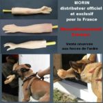 Civiele deconditionering ONDERARM