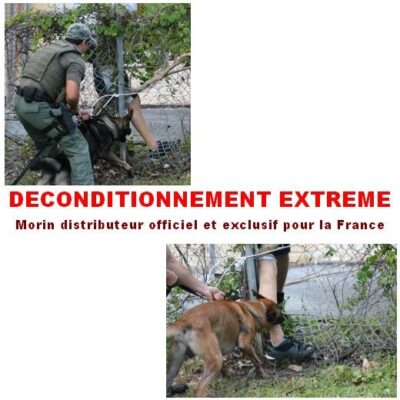 Civiele deconditionering BEEN