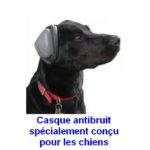 Ruisonderdrukkende koptelefoon voor honden