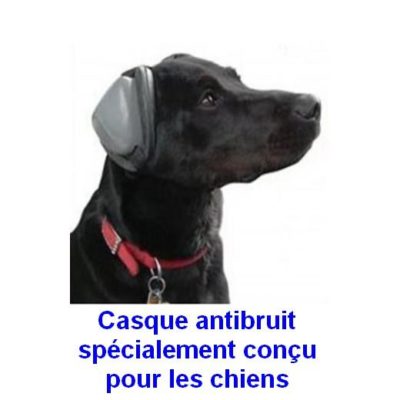 Ruisonderdrukkende koptelefoon voor honden
