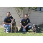 Ruisonderdrukkende koptelefoon voor honden