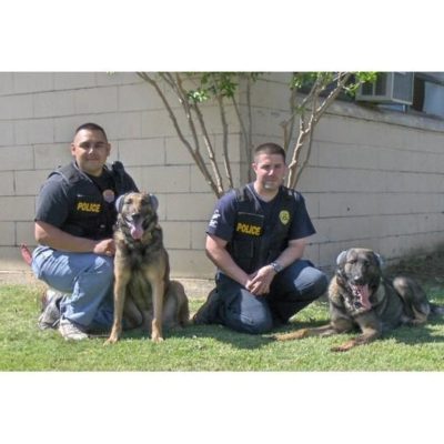 Ruisonderdrukkende koptelefoon voor honden