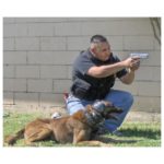 Ruisonderdrukkende koptelefoon voor honden