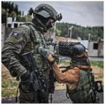 Ruisonderdrukkende koptelefoon voor honden