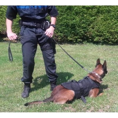 MORIN Kogelvrij vest voor honden met MOLLE-systeem