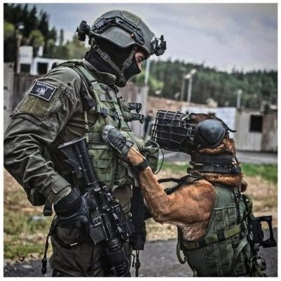 RUFFWEAR Grip Trex Hondenlaarzen