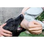 SAS VOLLEDIGE civiele deconditioneringsarm