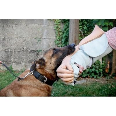 SAS VOLLEDIGE civiele deconditioneringsarm