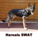 MORIN SPECIAAL SWAT-beschermharnas voor honden
