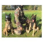 verybig-3934-2 (1) K9 VISION SYSTEM PRO-boordcamera