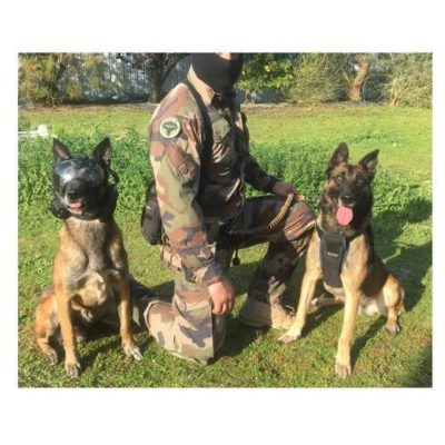 verybig-3934-2 (1) K9 VISION SYSTEM PRO-boordcamera