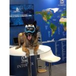 verybig-3934-4 K9 VISION SYSTEM PRO-boordcamera