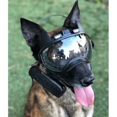 K9 Vision systeem Special OPS met camera
