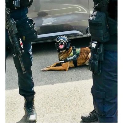 K9 VISION SYSTEM ONE met ingebouwde camera