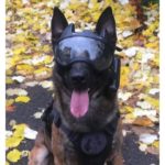 K9 VISION SYSTEM ONE met ingebouwde camera