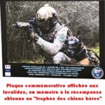 K9 VISION SYSTEM ONE met ingebouwde camera