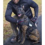 verybig-4105-2 NOXX K9 werkharnas