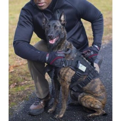 verybig-4105-2 NOXX K9 werkharnas