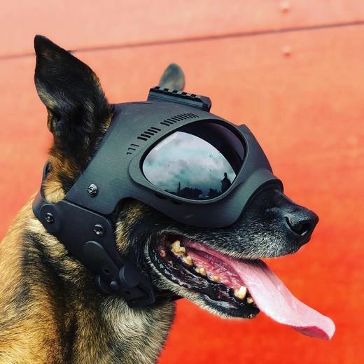 verybig-4119-1 K9 Tactische hondenhelm zwart