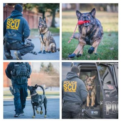 verybig-4256-3 PAWS Beschermende hondenlaarzen / sokken