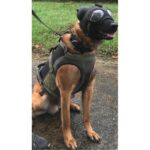 SIOEN BALISTICS beschermings harnas