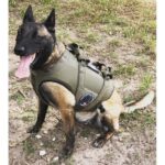 SIOEN BALISTICS beschermings harnas