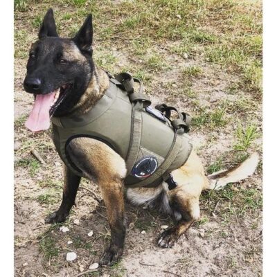 SIOEN BALISTICS beschermings harnas