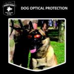 Jango Camp Pathfinder masker / bril