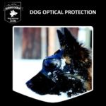 Jango Camp Pathfinder masker / bril