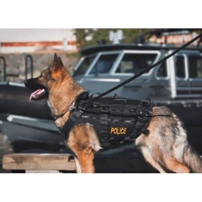 verybig-4515-5 MORIN MULTI K9 harnas