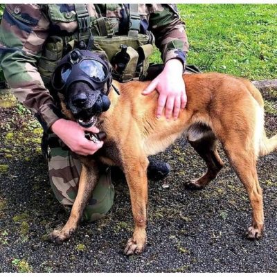 K9 Vision-systeem HELM OPS