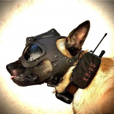 K9 Vision-systeem HELM OPS