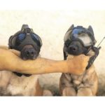 K9 Vision-systeem HELM OPS