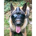 K9 Vision-systeem HELM OPS