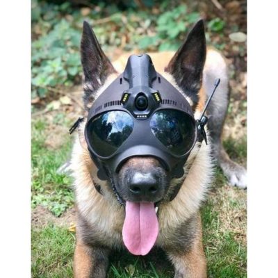 K9 Vision-systeem HELM OPS