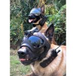 K9 Vision-systeem HELM OPS