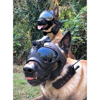 K9 Vision-systeem HELM OPS