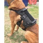 WHISPER ultralicht tactisch harnas - Recon K9